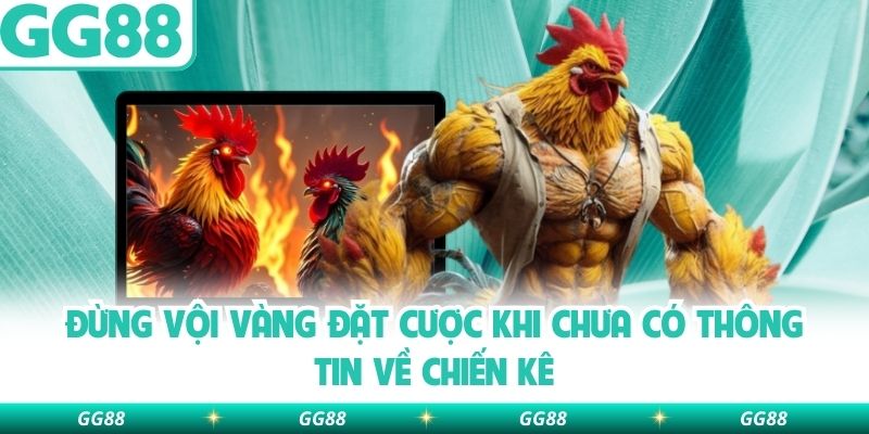 Đừng vội vàng đặt cược khi chưa có thông tin về chiến kê