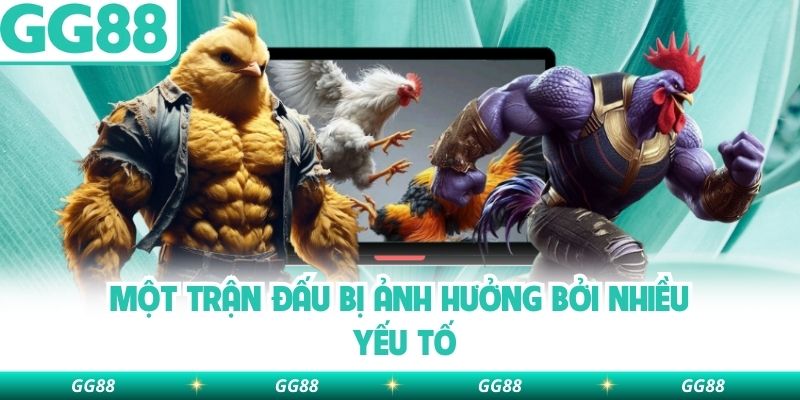 Một trận đấu bị ảnh hưởng bởi nhiều yếu tố