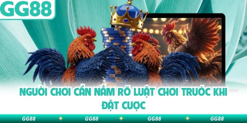 Người chơi cần nắm rõ luật chơi trước khi đặt cược