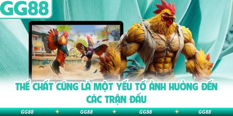 Thể chất cũng là một yếu tố ảnh hưởng đến các trận đấu